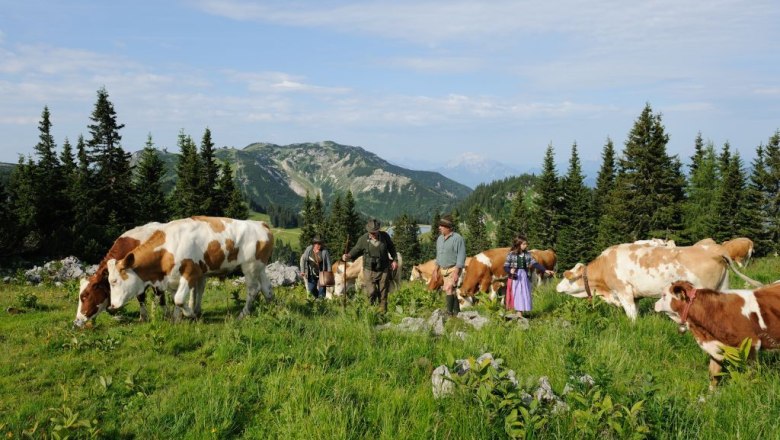 Views on Ybbstal Alps, © Fotostudio Büchele