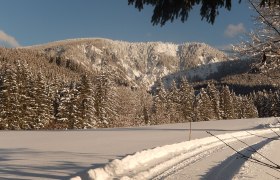 Cross-country skiing on the doorstep, © Karin Redlsteiner