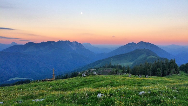 Turnhöhe - highest point of the Königsberg, © Gemeinde Hollenstein