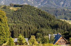 A farm in the middle of a wooded mountain landscape in Lunz am See.