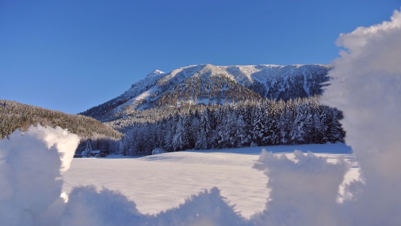 Ausblick auf den Vaterberg, © Marika Roth