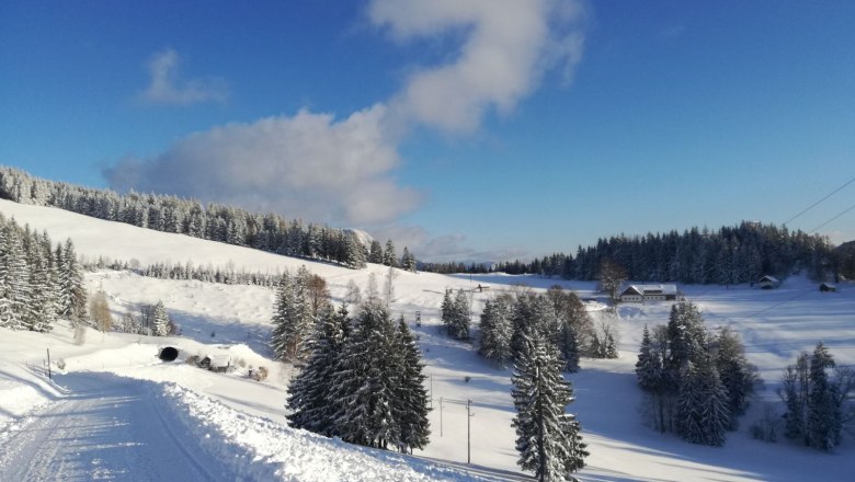 Winterlandschaft, © Erika Pieber