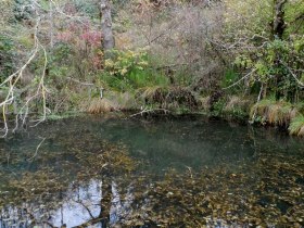 Small pond below the Hochkogel, &copy; Mostviertel - O&Ouml; Mariazellerweg
