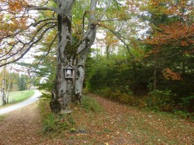Upper Austrian Mariazellerweg: D: 7th stage: Mitterbach - Sebastianikirche - Mariazell, &copy; Mostviertel - O&Ouml; Mariazellerweg