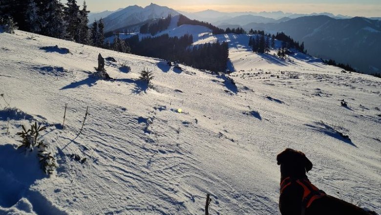 Ski tour to Siebenhütten, © Martin Bachner_Happy Nest