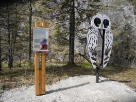 Owl trail in the D&uuml;rrenstein wilderness area, &copy; Reinhard Pekny