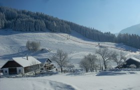 Organic farm Moas in winter, © Familie Buber