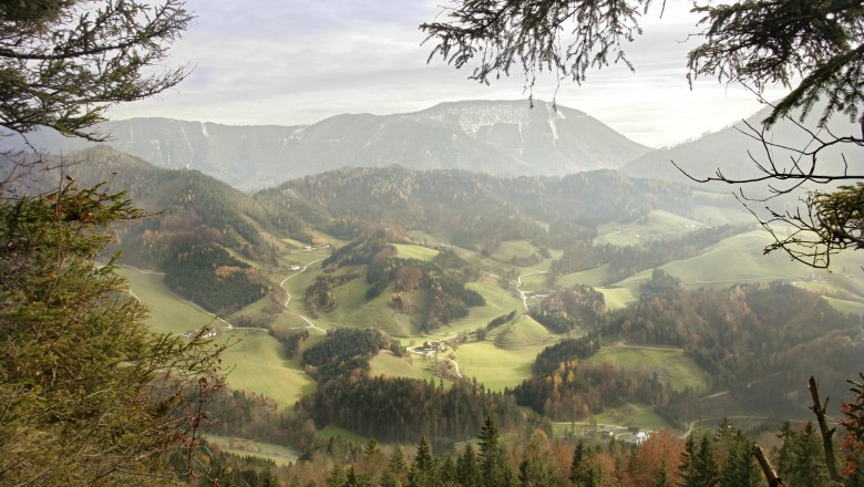 Aussicht Schluchtenwanderweg Opponitz, © Gemeinde Opponitz