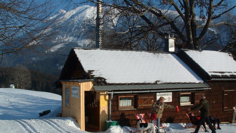 Winter mountain hut with people and dog in the snow.