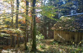 Recharge in the forest, © Ybbstaler Alpen