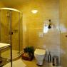Modern bathroom with shower, WC and plants.