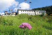 &Ouml;tscherschutzhaus im Sommer, &copy; &Ouml;tscherschutzhaus, Karin M&uuml;ller
