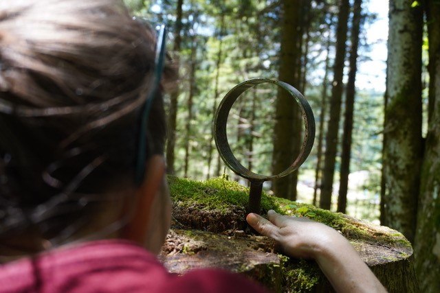 Den Geheimnissen des Waldes auf der Spur, © zunder zwo