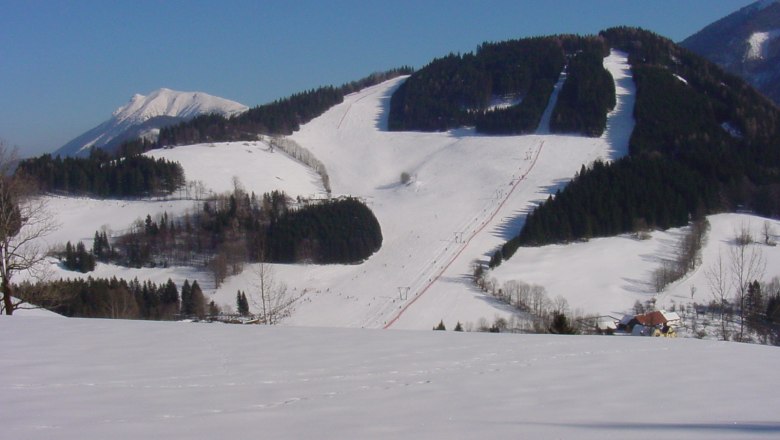 Snow-covered ski slopes and forests in a mountain landscape.