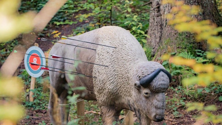 Targets of various sizes await the archers, &copy; Ludwig Fahrnberger