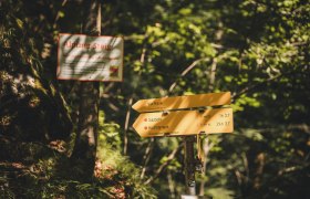 Close-up of a yellow signpost to the Via Aqua pilgrimage route and the Sulzbichl and Hochb&auml;rneck hiking trails, surrounded by forest floor and ferns. In the background, a safety sign for the alpine ascent.