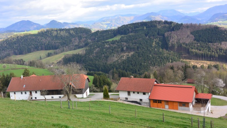 Himbrechts&ouml;d, &copy; Himbrechts&ouml;d