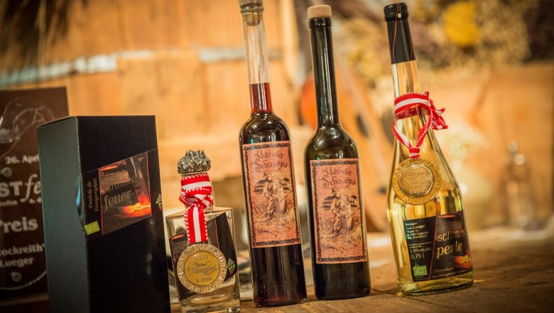 Organic farm Hinterstockreith, © Theo Kust