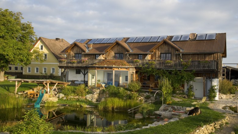 Ein Bio-Bauernhof mit Solarpanelen auf dem Dach, einem Teich und einem Hund im Garten.