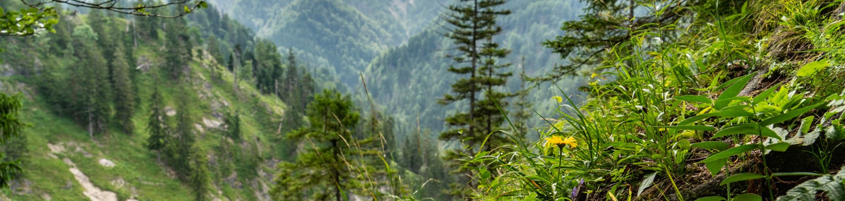 Wildnisgebiet, &copy; Ingeborg Zeh