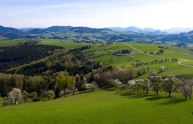 Fotopunkt Voralpenkreuz, © schwarz-koenig.at