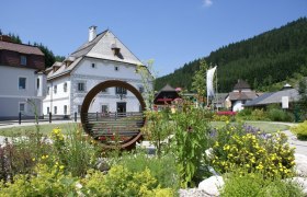Amonpark Lunz am See armchair, &copy; Mostviertel
