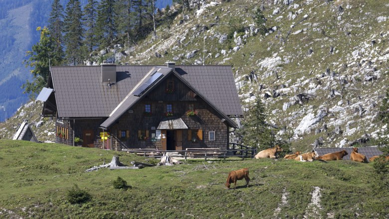 Ybbstalerhütte, © Theo Kust