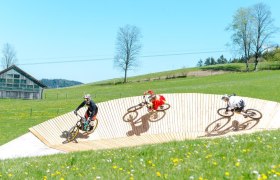 K&ouml;nigsberg Bike Park, &copy; Wolfgang Wutzl