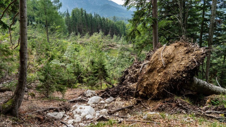 Wildnisgebiet Landschaft, © Ingeborg Zeh