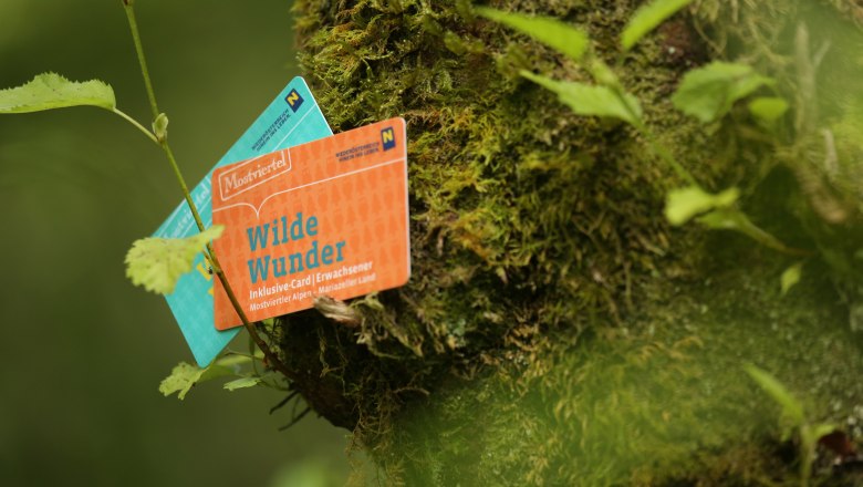 Die Ferienwohnung Leitner ist ein Wilde Wunder Card-Gastgeber., &copy; Mostviertel Tourismus GmbH