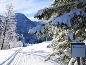 Hochmoorloipe, &copy; Mostviertel