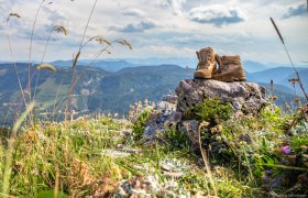 Hiking trail barrier, © weinfranz.at