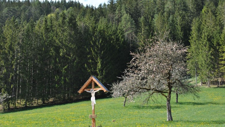 Landscape behind the house, © Patrick Leitner