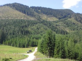 Vom Sandgraben auf den Gamsstein, &copy; Heigl