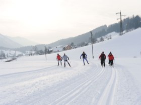 Prolling cross-country ski trail, &copy; Dominik Stixenberger