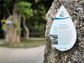 The gentle breeze carries the scent of fresh water and flowering plants through the air. Hikers can enjoy the tranquillity of nature here and be inspired by the beauty of the surroundings. This information board invites you to find out more about the fascinating waterways and landscape.