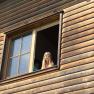 Window peepers at the Kirchau vacation farm, &copy; Ferienhof Kirchau