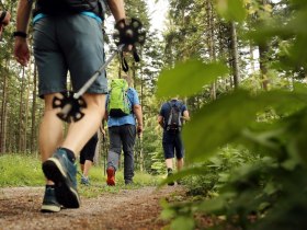 Hiker with hiking poles, &copy; (C) weinfranz