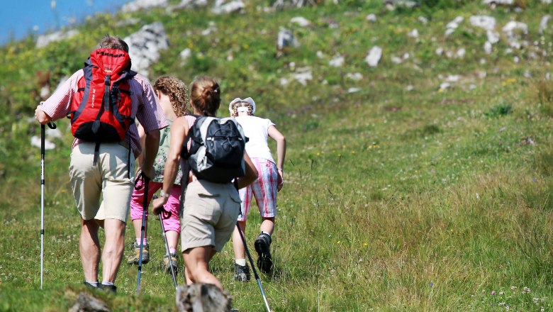 Hiking in the Ybbstal Alps, © weinfranz.at