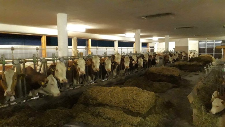 Urlaub am Bauernhof-Oberrehau, &copy; Andrea Kronsteiner