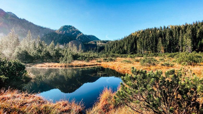 Naturschutzgebiet Leckermoor, &copy; Heidi Zettel