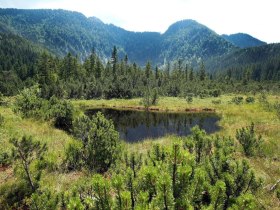 Hochmoor Leckermoos, &copy; weinfranz.at