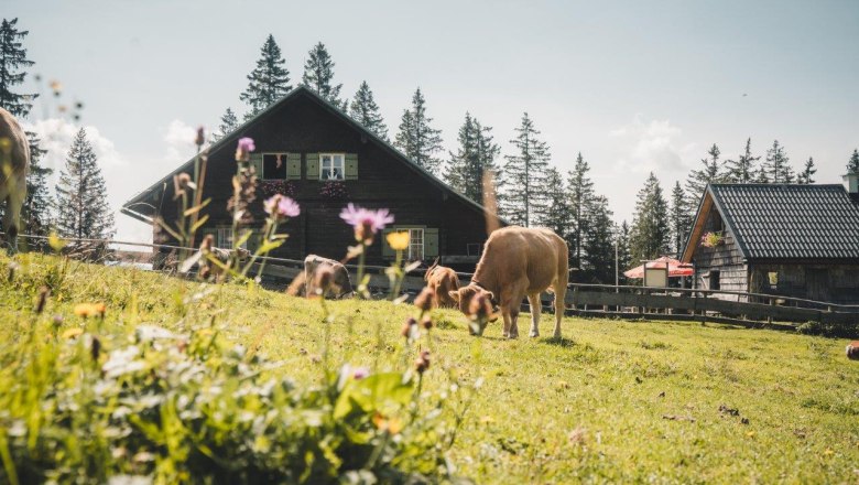 Kitzhütte, © Gerald Demolsky