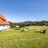 Ferienhaus Hinterbreiteneben, © Joseph Gasteiger