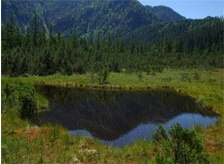 Hochreit plateau - high moor, &copy; Mostviertel